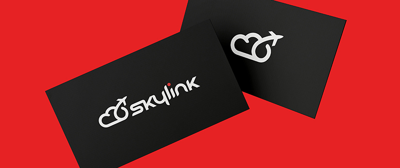 Logotyp Sky link