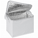 Torba termiczna na 6 puszek 500 ml MESA