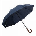 Automatyczny parasol golfowy EARL