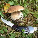 Nóż do grzybów PILZ Schwarzwolf Zdjęcie 6