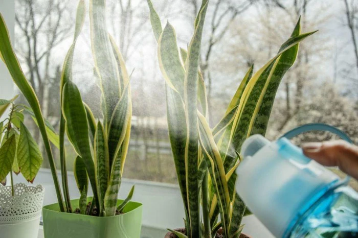 Bidon ze zraszaczem SPRAY 600 ml z nadrukiem logo Zdjęcie 9