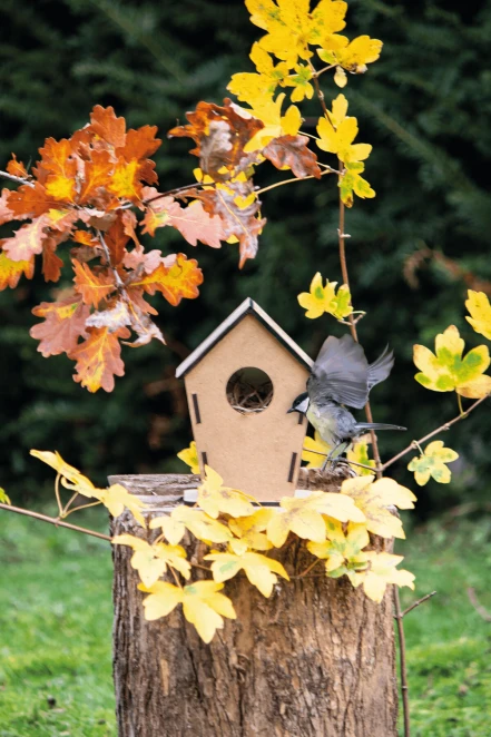 Budka dla ptaków ECO HOME do nałożenia logo Zdjęcie 6
