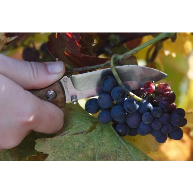 Nóż składany JUNGLE Schwarzwolf do nałożenia logo Zdjęcie 4