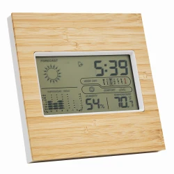 Stacja pogodowa FORECAST z logo